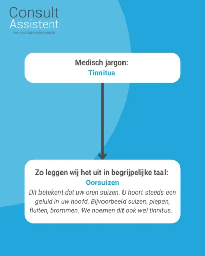 ConsultAssistent maakt vragenmodules in begrijpelijke B1-taal