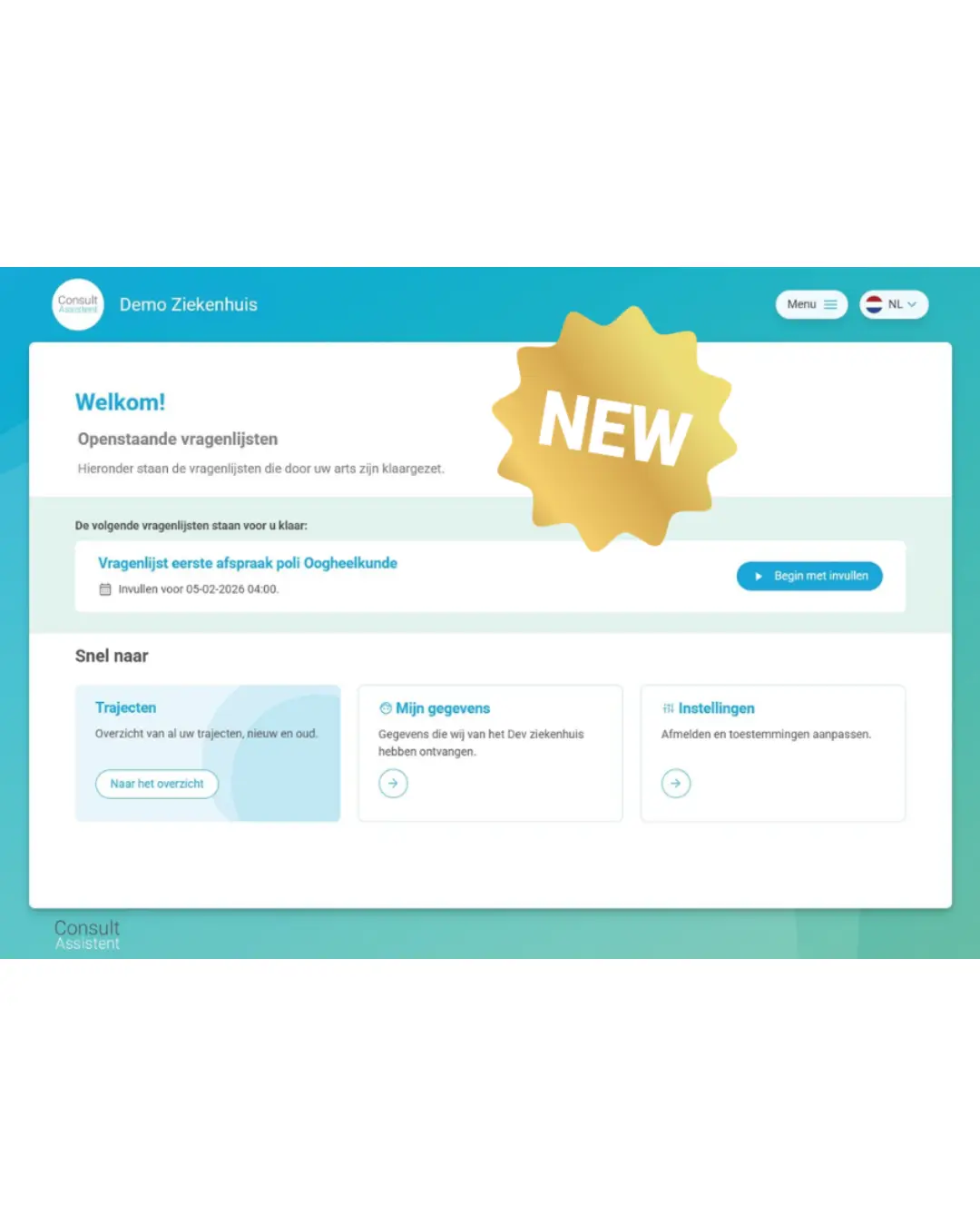 New ConsultAssistent user interface